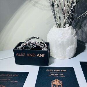 Alex and Ani Silver and Black Bracelet Set